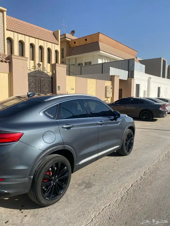 توجيلا ممشى قليل 4