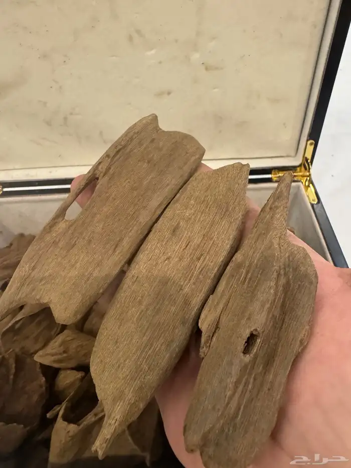 نوادر المروكي ( أندر ووتر ) غطاس   من المقتنيات 7