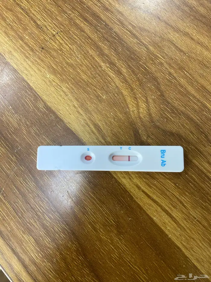 طلي حري فحل جذع مشروط يقشع على الشرط 16