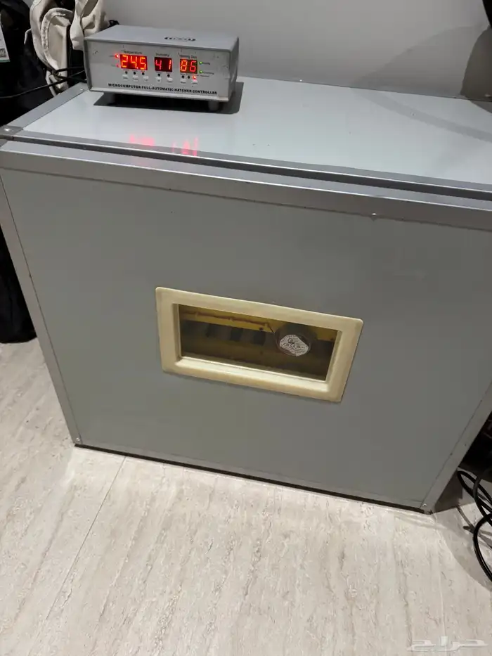 فقاصة تماتيك 1