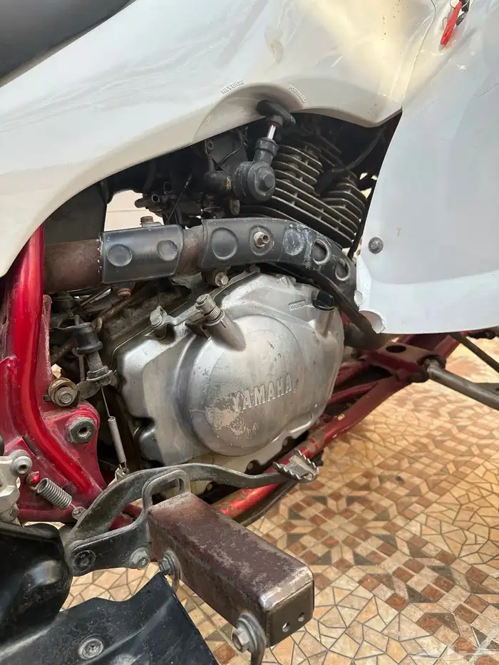 دباب رابتر 350 للبيع 1