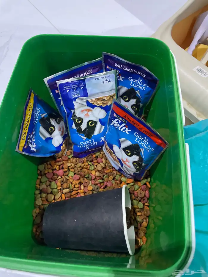 قطط اكسسورات 2