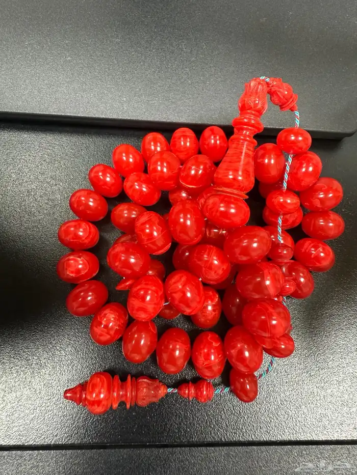 سبحة من أفياش أمريكية حجم راهي ذروي 4