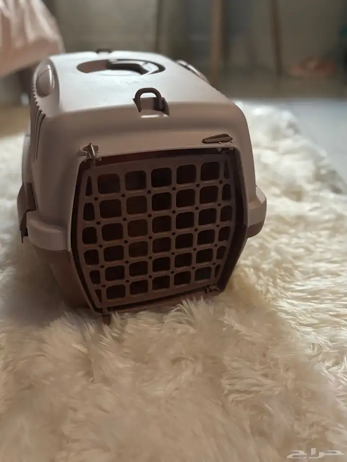 مستلزمات قطط 1