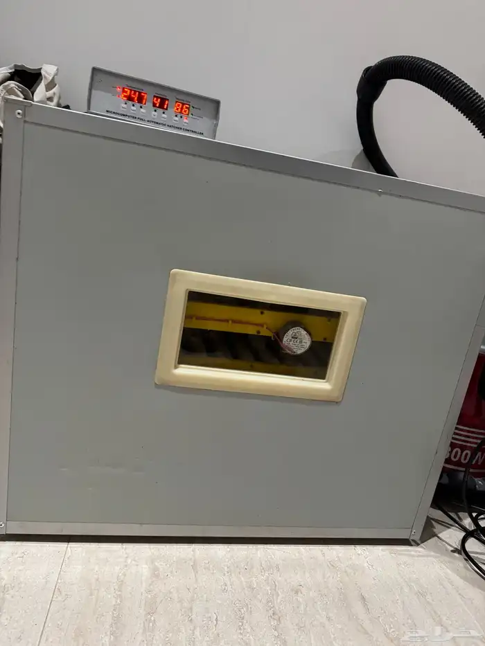 فقاصة تماتيك 0