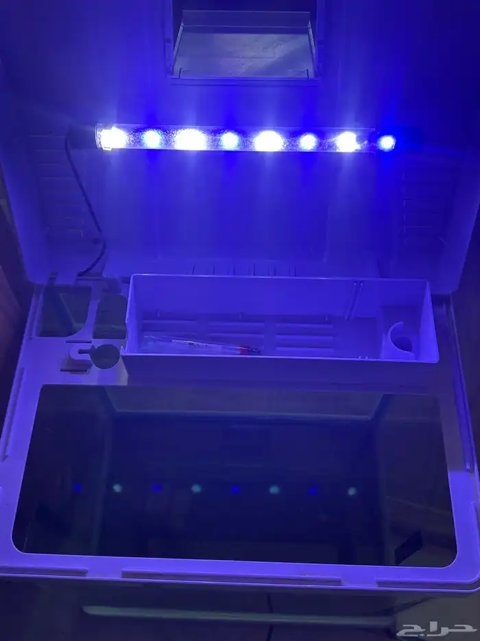 حوض سمك كبير 7