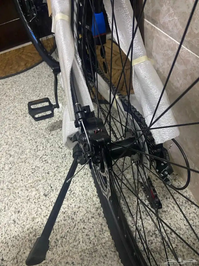 جدة ابرق الرغامة 2