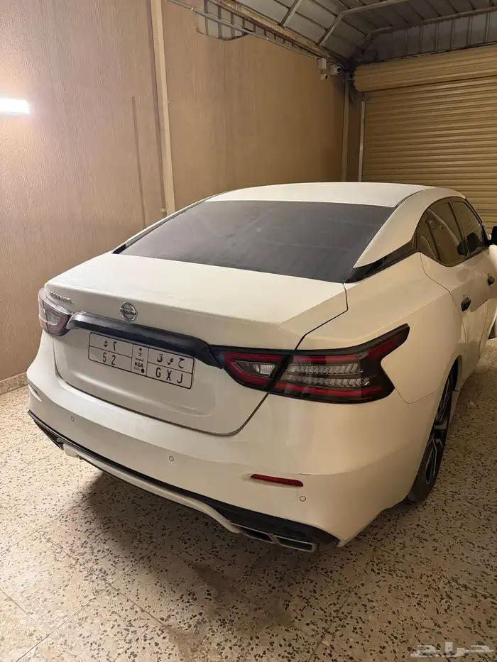 مكسيما 2020 مصدوم 4