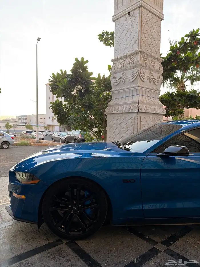 للبيع  موستنق GT 2019 6