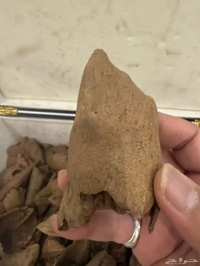 نوادر المروكي ( أندر ووتر ) غطاس   من المقتنيات 12