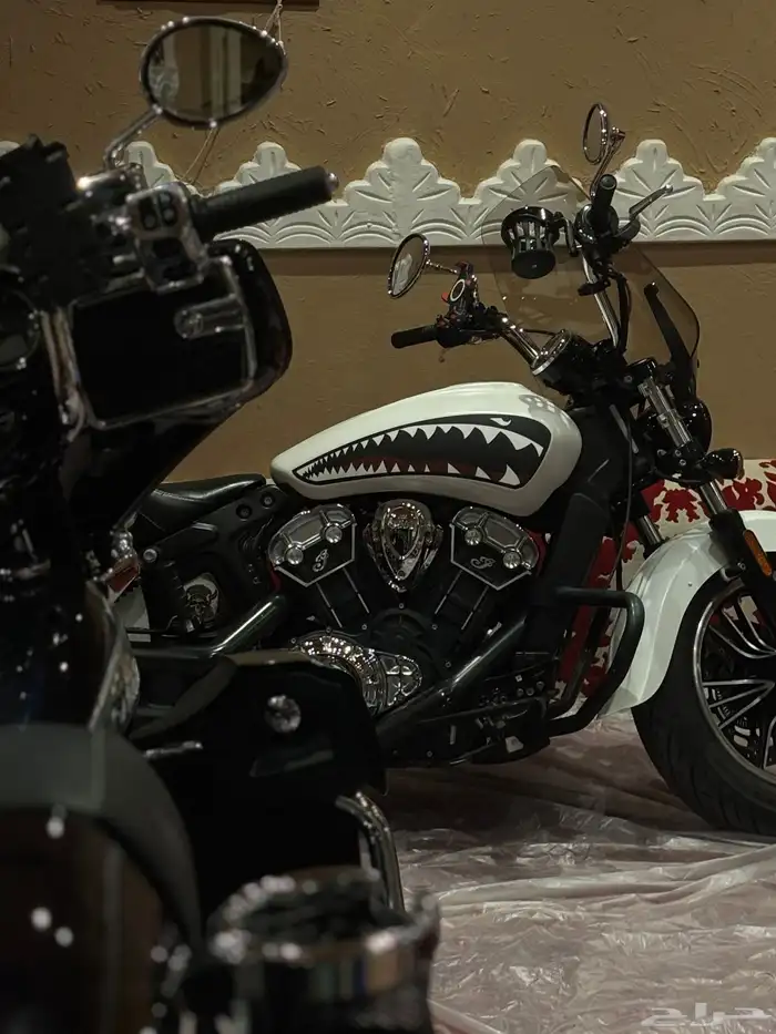 INDIAN SCOUT 2021 pearl white smoke 1