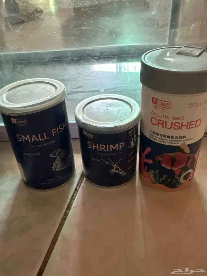 حوض سمك كبير 11