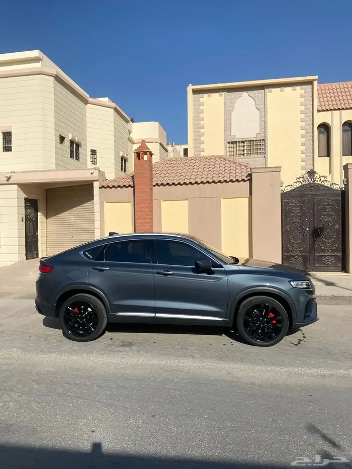 توجيلا ممشى قليل 1