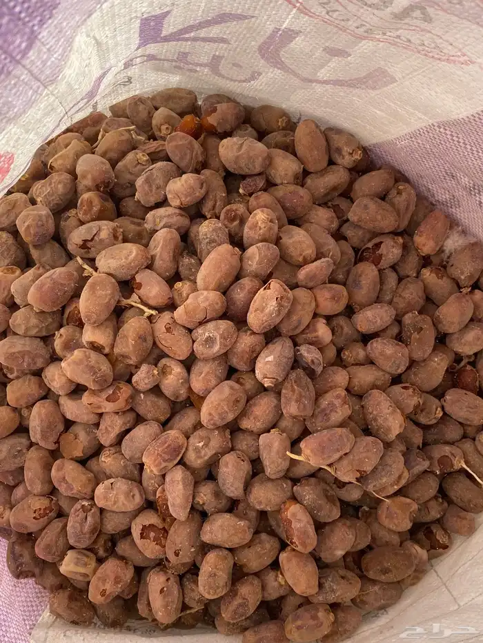 تمر نفيع للغنم 0