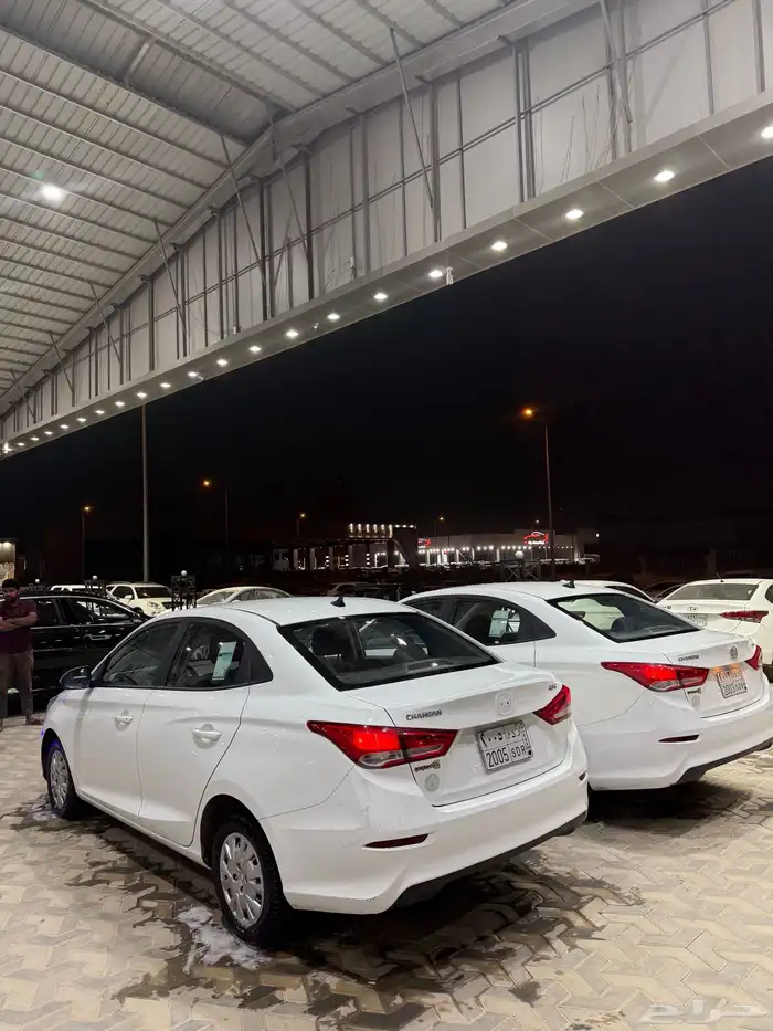 شانجان السفن 2023 2022 للبيع 3