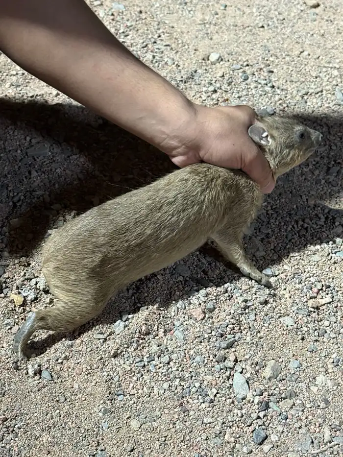 للبيع و ب ر 2