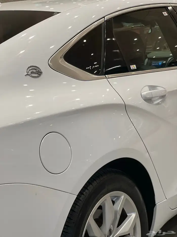 امبالا 2016 بودي وكالة قمة النظافه 11