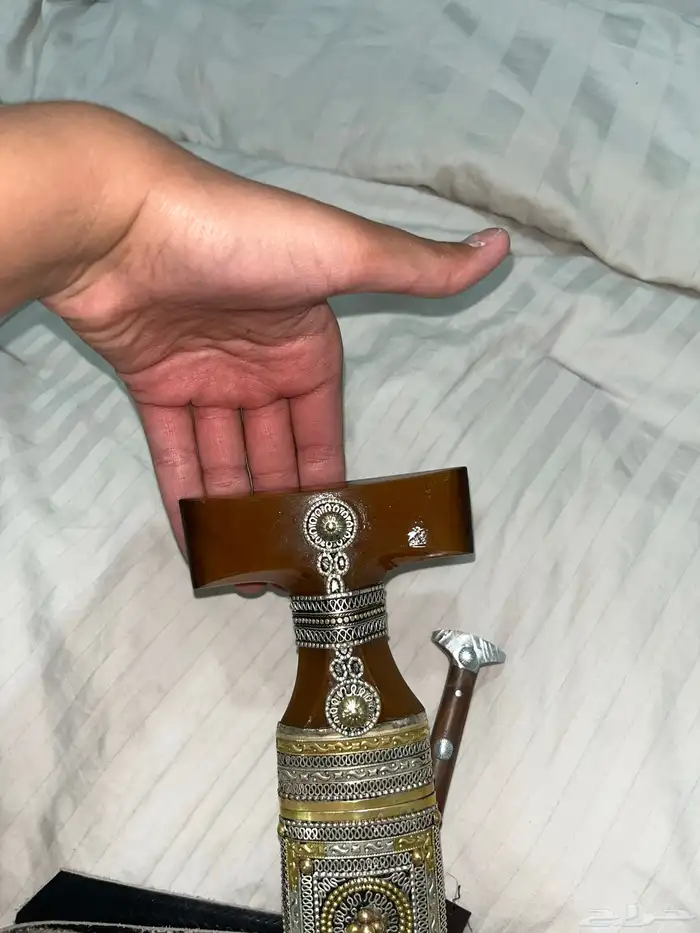 جنبية حك زراف 2