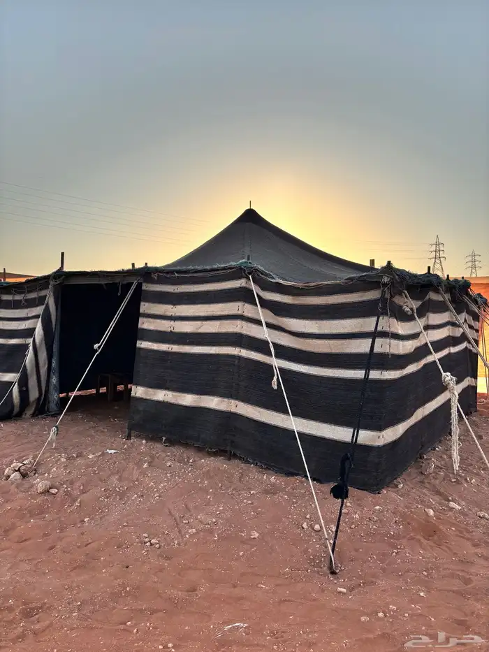 للبيع بيت شعر عمود واحد 5 5 0