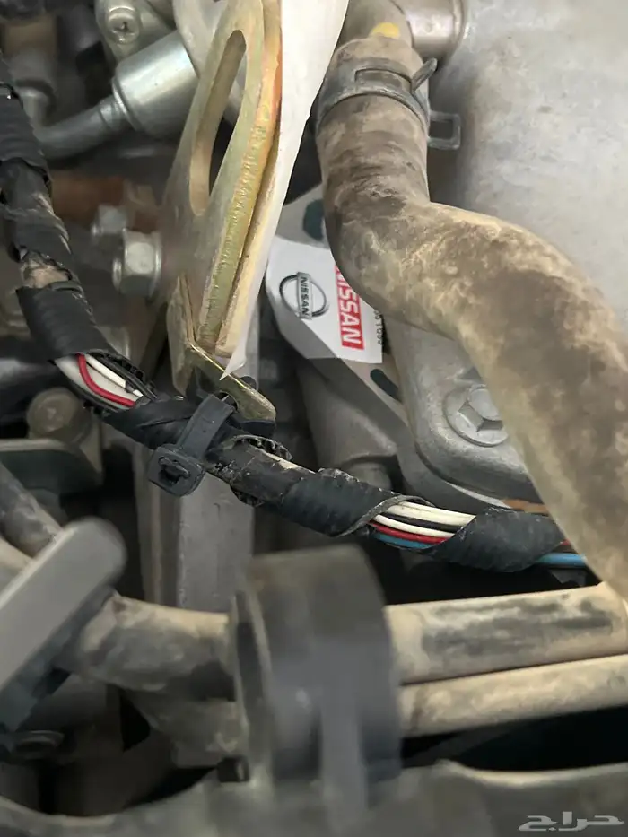 ددسن2014 فل كامل 17