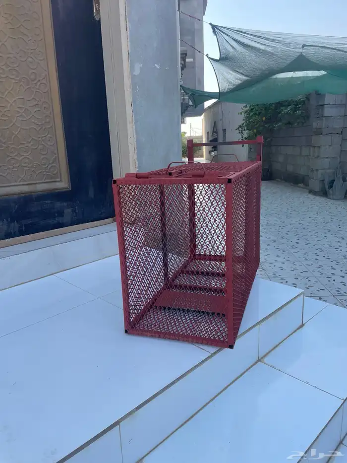 مصيده حيونات 4