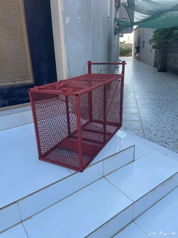 مصيده حيونات 3