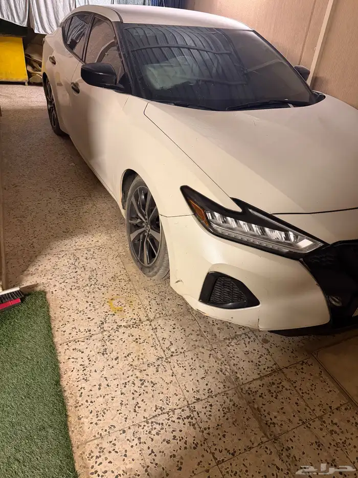 مكسيما 2020 مصدوم 5