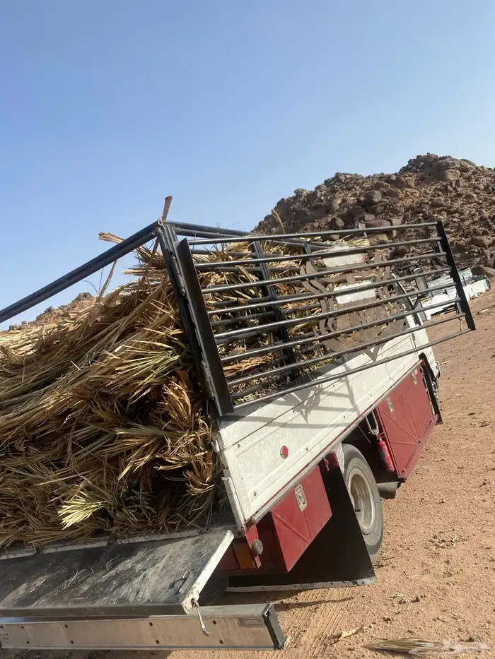 جريد حملة دينه 2