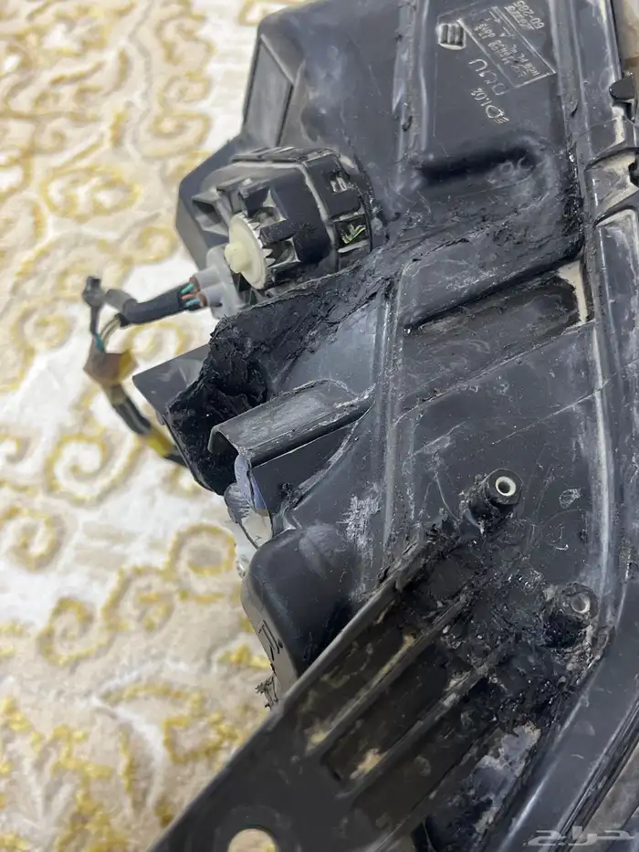 شمعة جكسار من 22 الى 26 5