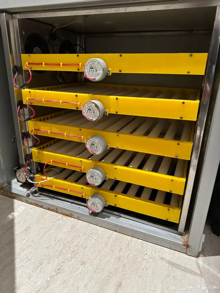 فقاصة تماتيك 2