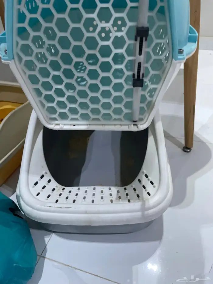 قطط اكسسورات 0