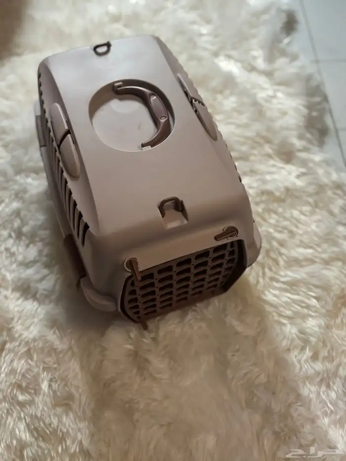 مستلزمات قطط 6