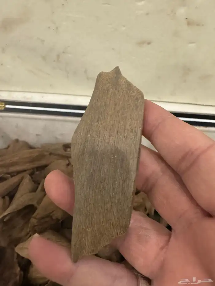 نوادر المروكي ( أندر ووتر ) غطاس   من المقتنيات 9