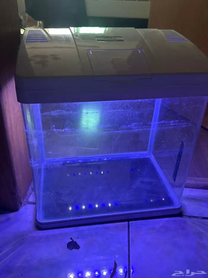 حوض سمك كبير 8