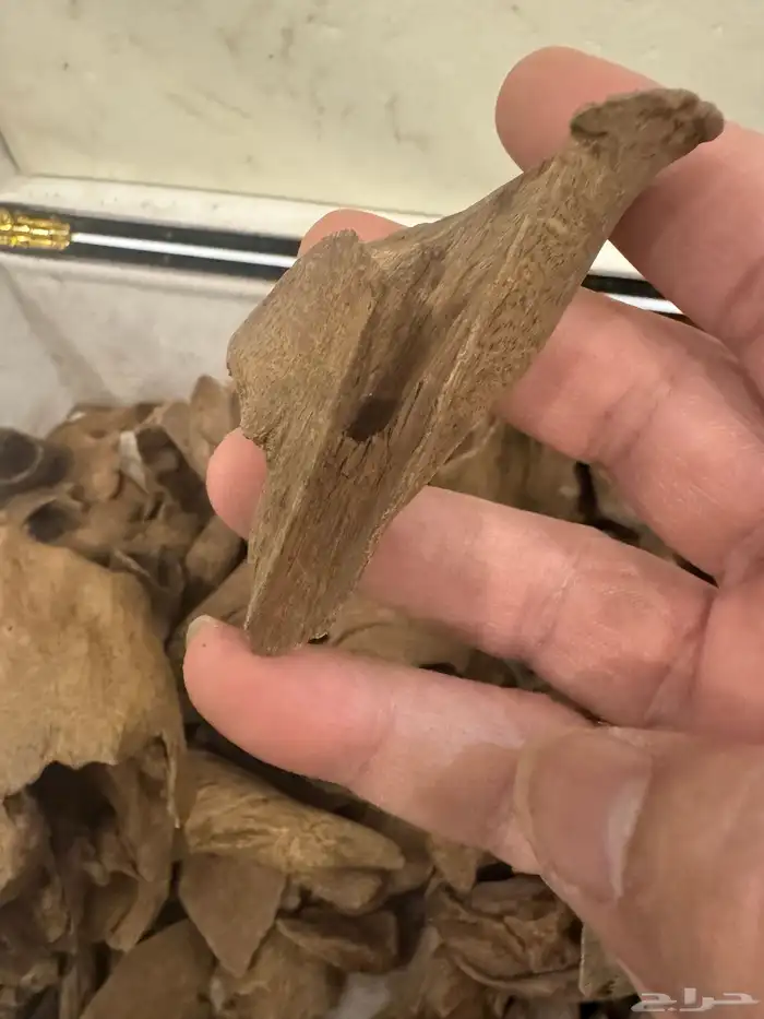 نوادر المروكي ( أندر ووتر ) غطاس   من المقتنيات 15