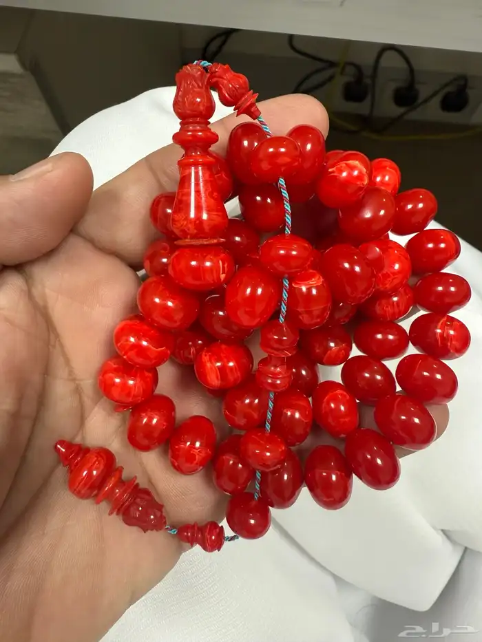 سبحة من أفياش أمريكية حجم راهي ذروي 3