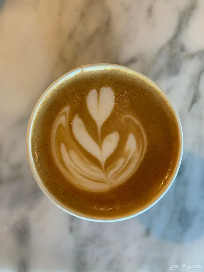 الة قهوة بريفيل سيج breville sage 3