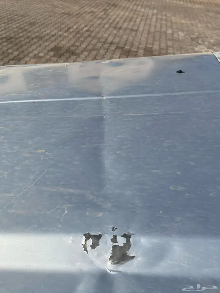 سفاري91 شقراء 25