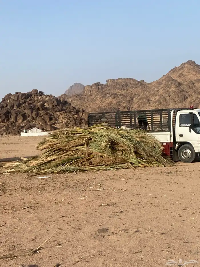 جريد حملة دينه 0