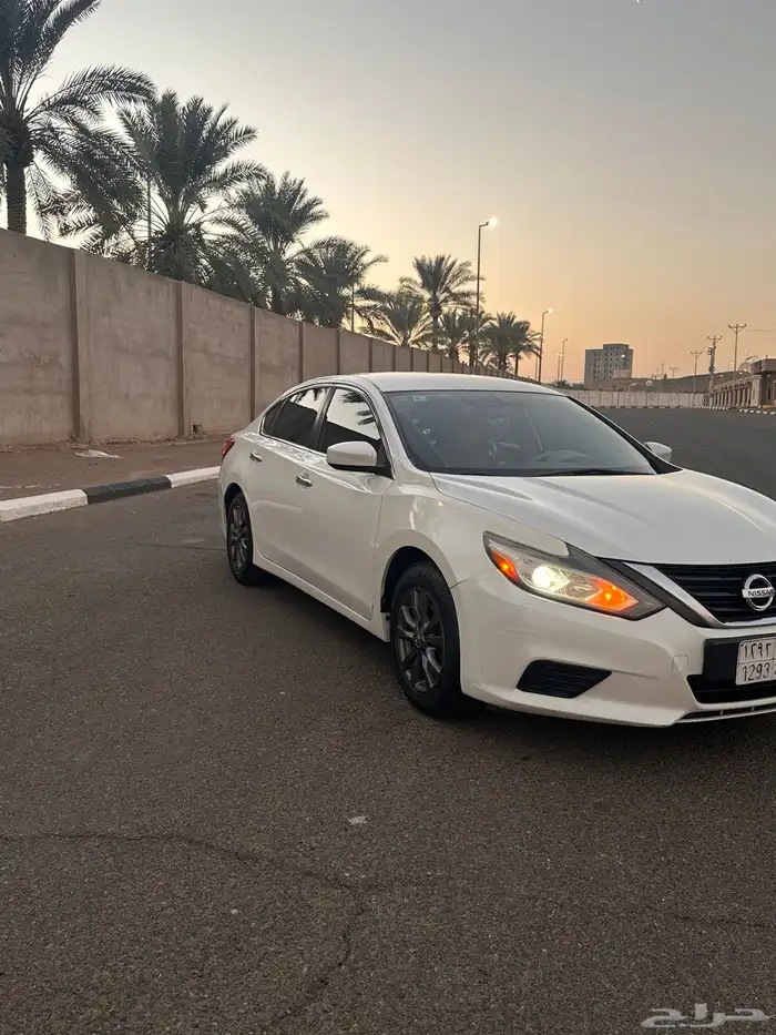 التيما 2017 نص فل 1