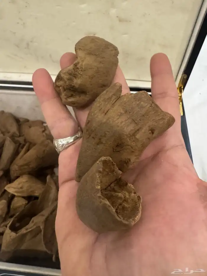 نوادر المروكي ( أندر ووتر ) غطاس   من المقتنيات 11