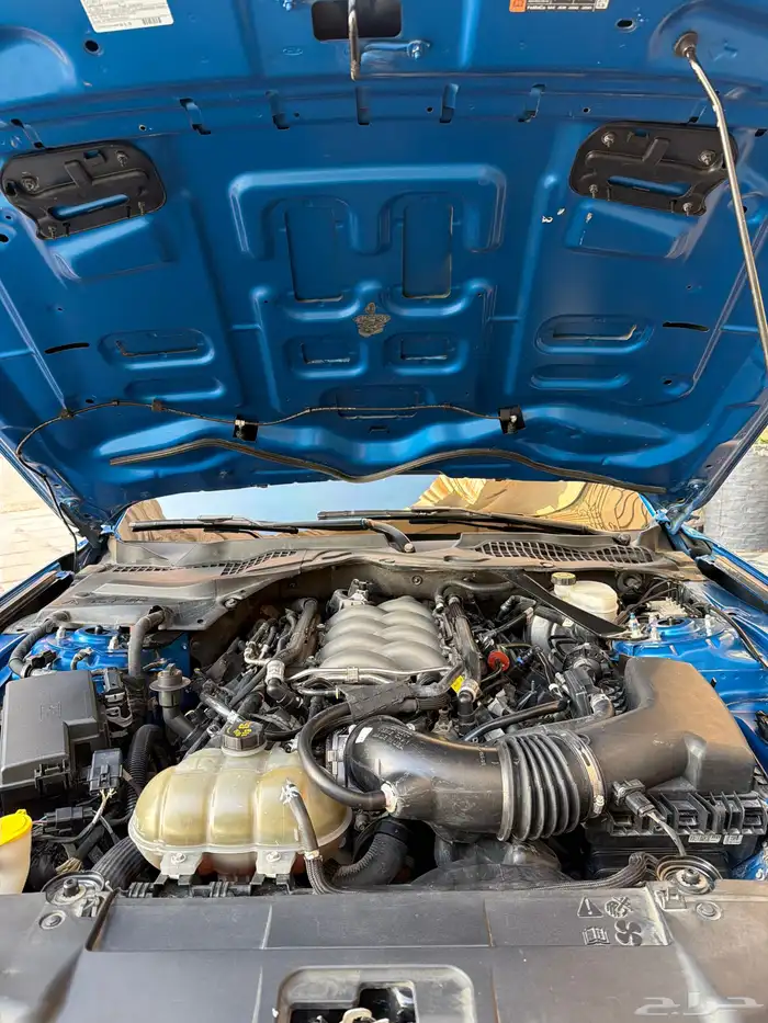 للبيع  موستنق GT 2019 19