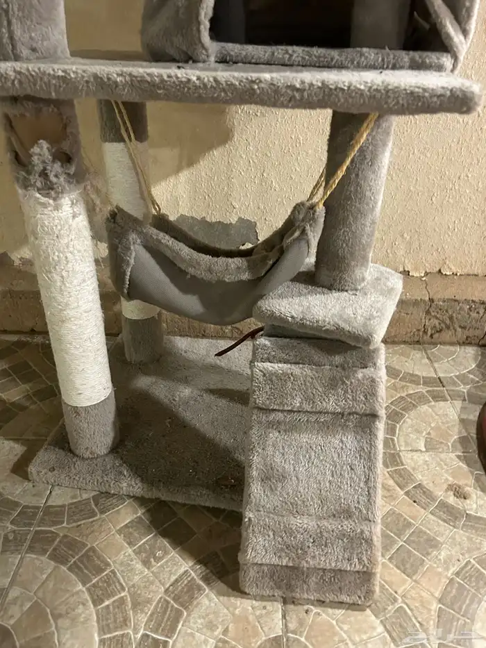 بيت بساس دورين 2