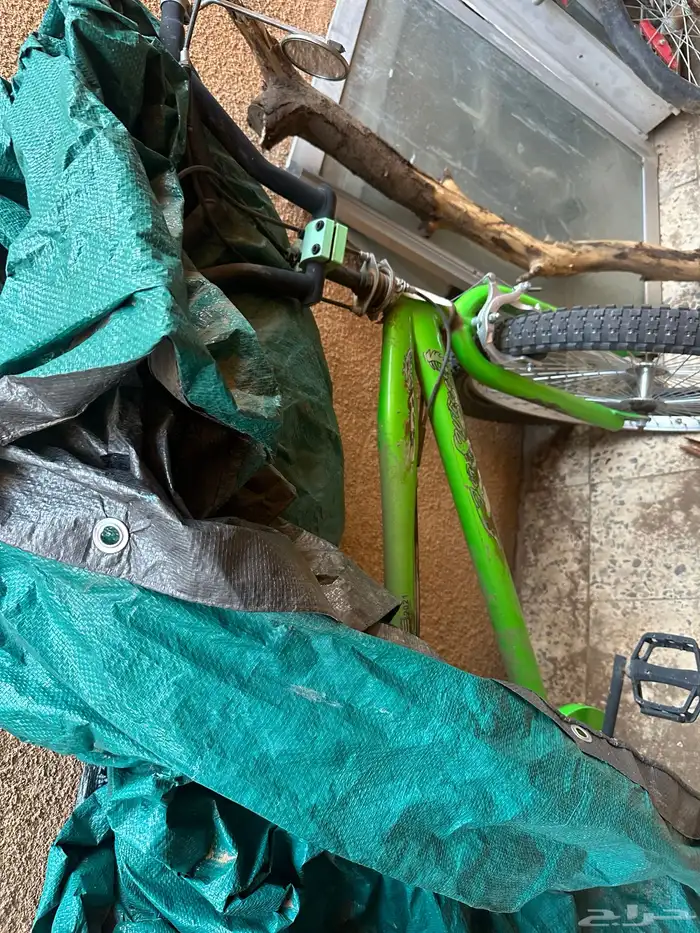 دراجه سيكل كوبرا 0