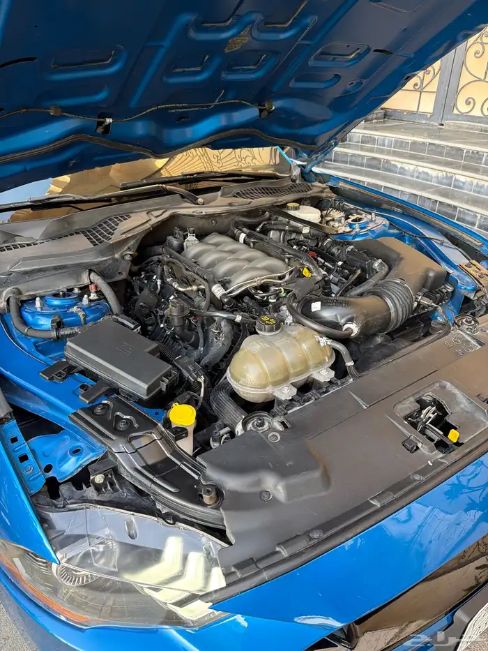 للبيع  موستنق GT 2019 18