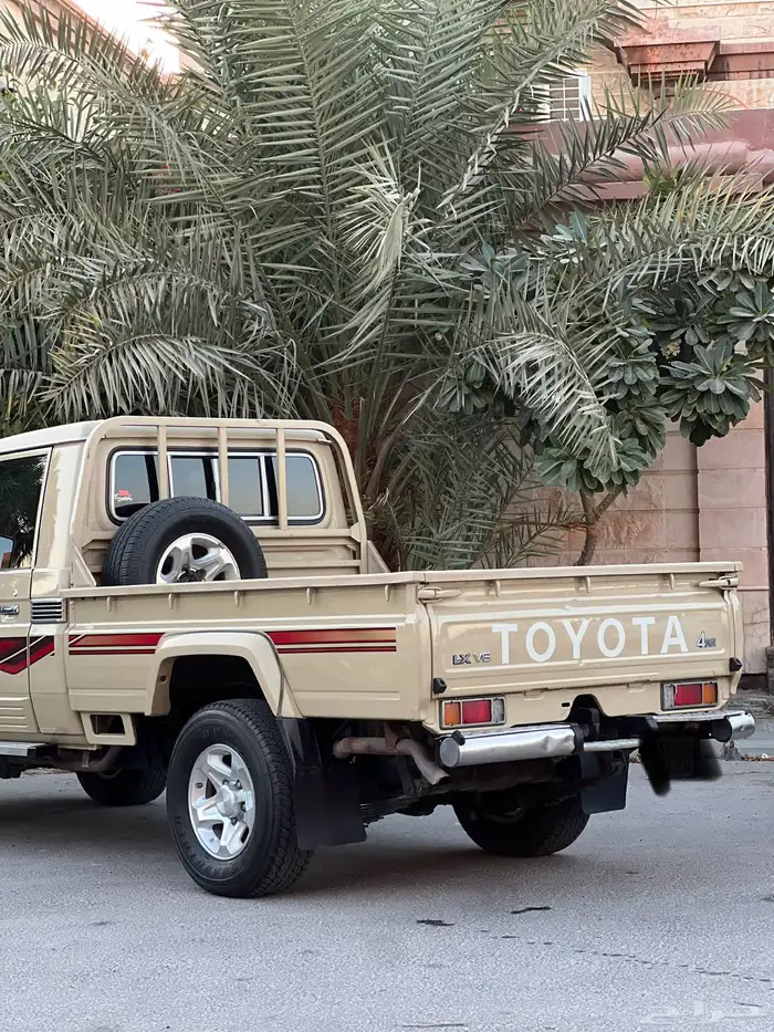 شاص رفرف دفلك 2016 وكالة مستخدم اول 9