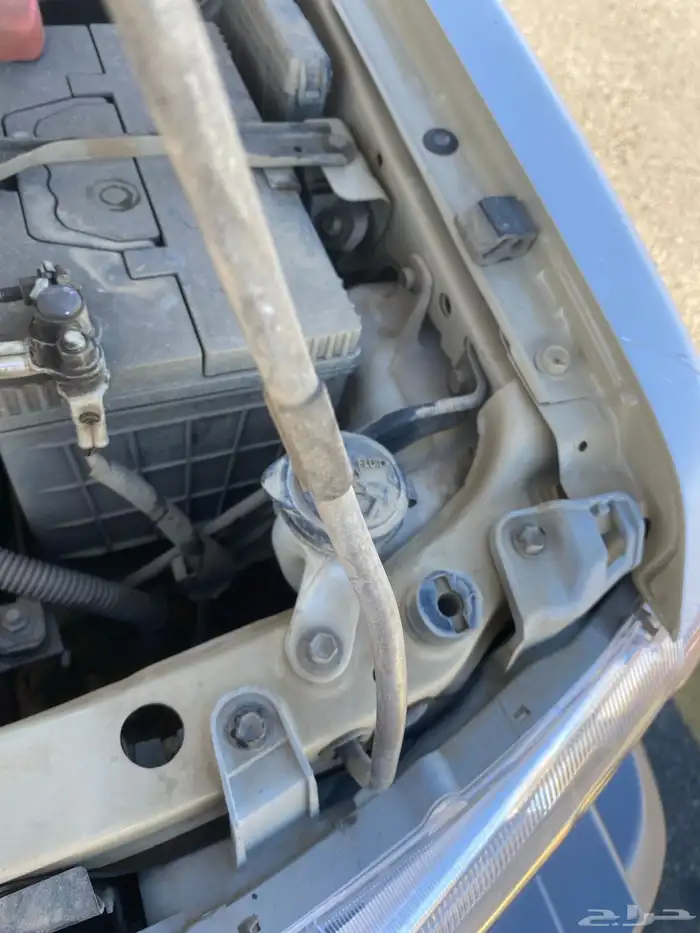 شاص بريمي 2016 15