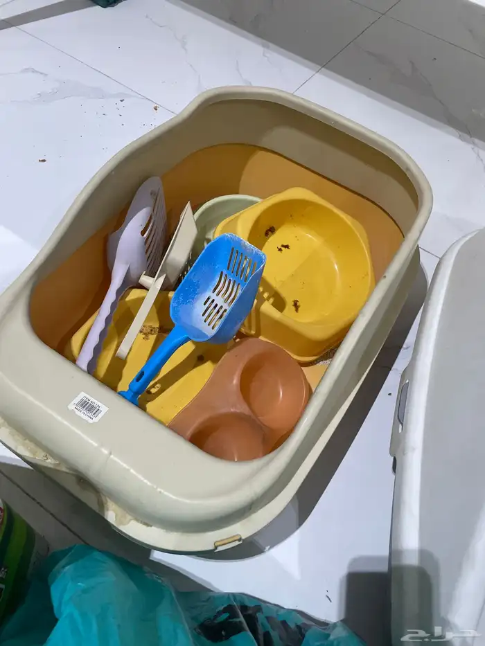 قطط اكسسورات 1