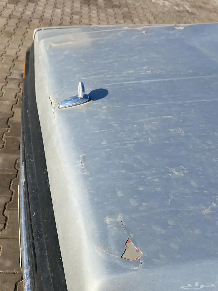 سفاري91 شقراء 24