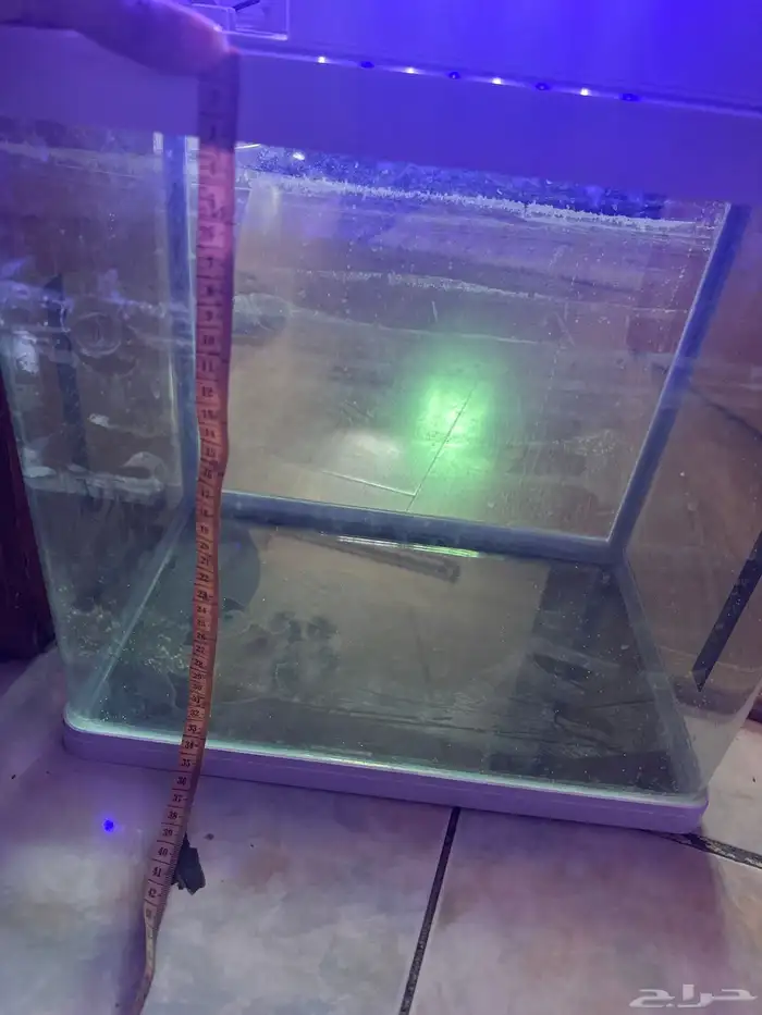 حوض سمك كبير 9